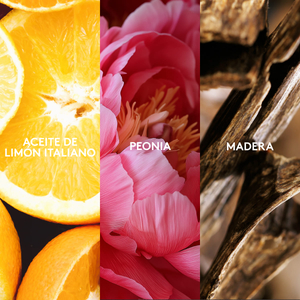 200117383 ingredientes 4 200117383 ingredientes 4